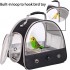 Small Bird Clear Bubble Carrier