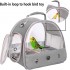 Small Bird Clear Bubble Carrier