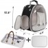 Small Bird Clear Bubble Backpack