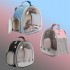 Small Bird Clear Bubble Backpack