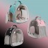 Small Bird Clear Bubble Backpack