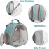 Small Bird Clear Bubble Backpack