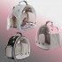 Small Bird Clear Bubble Backpack