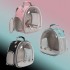 Small Bird Clear Bubble Backpack