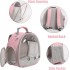 Small Bird Clear Bubble Backpack